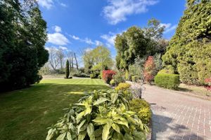 Photo 86- click for photo gallery